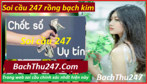 rong-bach-kim-247